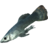 SR-icon-ingredient-Abecean Longfin.png